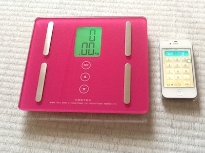 HealthMeter.JPG