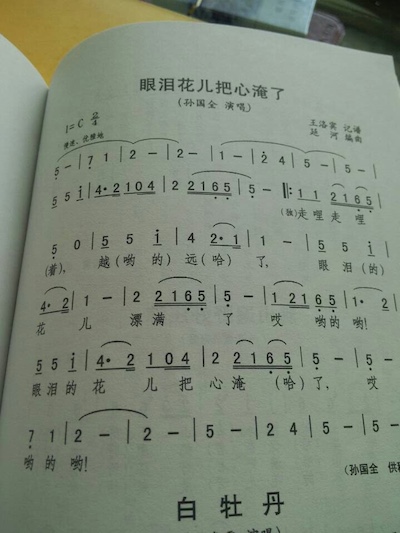 NingXiaMinGeYanLeiHuarBaXinYanLe.jpg