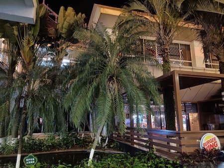 20230203HaiKou44.jpeg