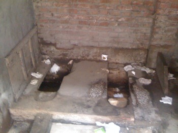 BeijingToilet1.JPG
