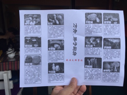 Kinoko7.JPG