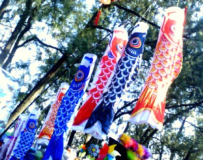 Koinobori.jpg