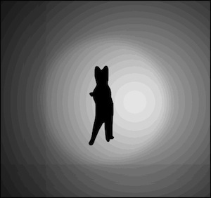 Neko2.jpg