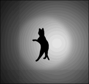 Neko4.jpg