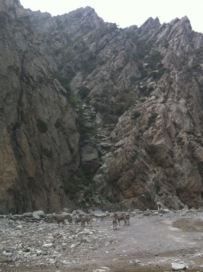 NingXia2YeYang.jpg