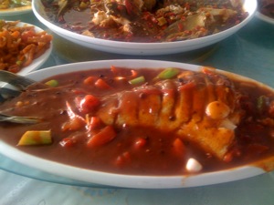 NingXia2_1Yu4Chi3.JPG