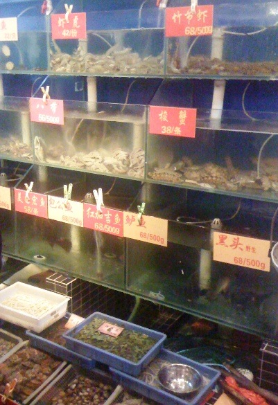 PairQingDaoSeaFood.JPG