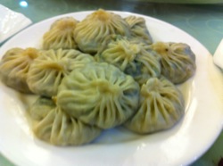 Vision2010XinXiangJiuCaiBaoZi.JPG