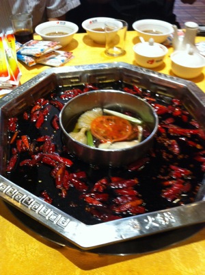 VisionChongQingHuoGuo2010.jpg