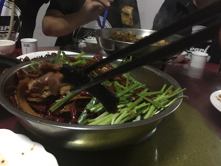 VisionYueYang2016Hebi.JPG