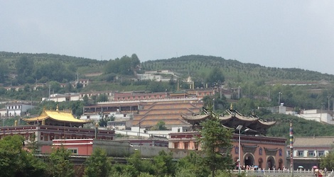 XiNingTaErSi.jpg